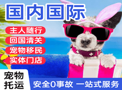 台州路桥航空运输国际宠物托运 【国